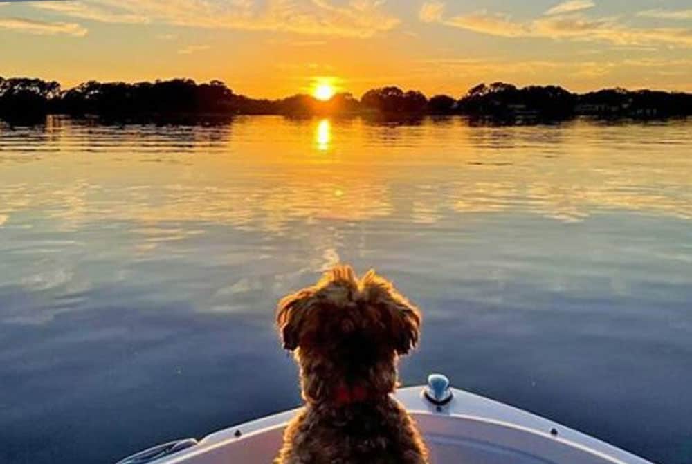 10 Reasons to Live in Windermere, Florida